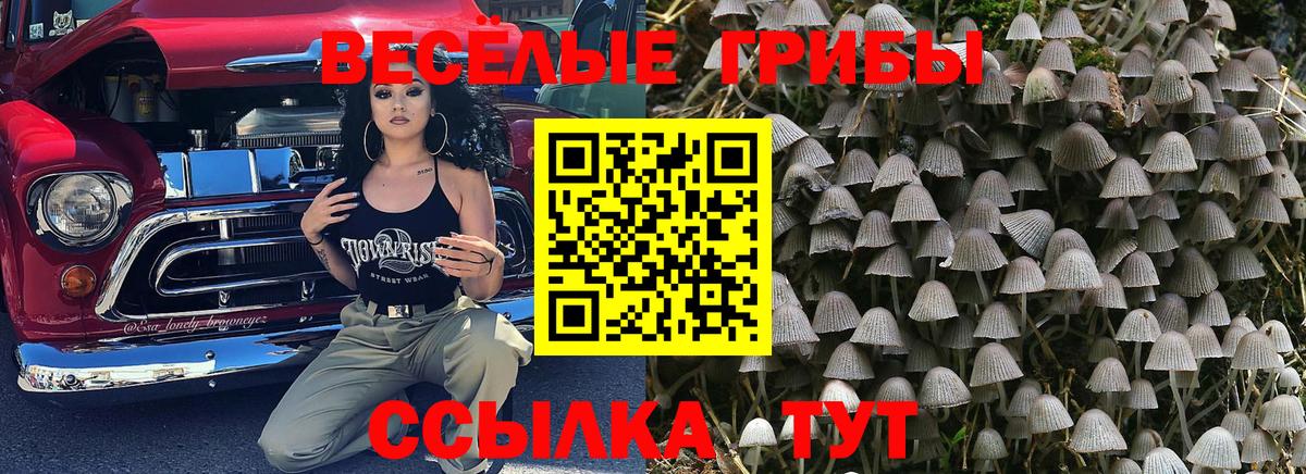 Псилоцибиновые грибы Magic Shrooms  где продают   Бийск  Вход с VPN 